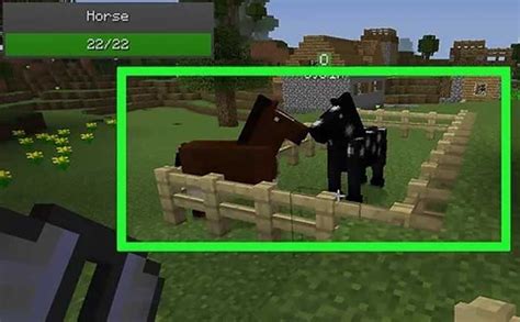 Striders are passive mobs native to the Nether. They can walk/stride on lava and be saddled by the player. A warped fungus on a stick is needed to control a strider, similar to how a pig is controlled by a carrot on a stick. Striders can spawn in every Nether biome. Two to four striders spawn on spaces of lava that have an air block …